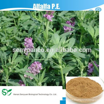 TOP Qualität Best Selling Natürliche Alfalfa PE CAS: 55466-04-1